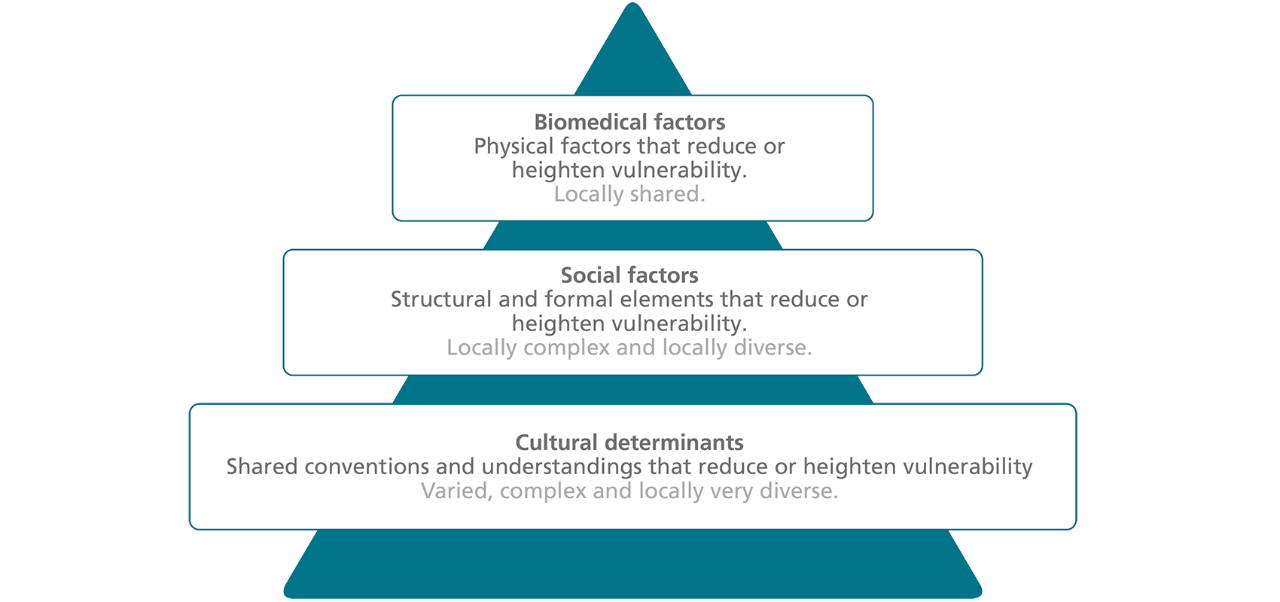 The Diabetes Vulnerability Assessment